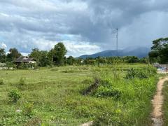 ขายที่ดิน 2-0-11 ไร่ ใกล้ตลาดสดริมเหนือและกาดฝรั่ง อ.แม่ริม เชียงใหม่-202509020105051756749905672.jpg