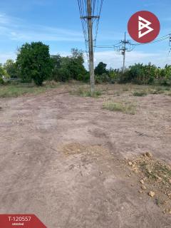 ขายที่ดิน เนื้อที่ 4 ไร่ 8 ตร.วา หนองกี่ บุรีรัมย์-202509021033391756784019122.jpg