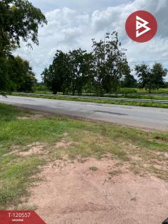ขายที่ดิน เนื้อที่ 4 ไร่ 8 ตร.วา หนองกี่ บุรีรัมย์-202509021033411756784021049.jpg