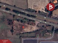 ขายที่ดิน เนื้อที่ 4 ไร่ 8 ตร.วา หนองกี่ บุรีรัมย์-202509021033431756784023646.jpg