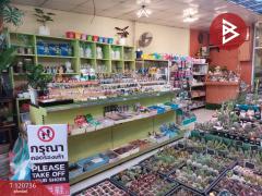 ขายอาคารพาณิชย์พร้อมห้องเช่า 5 ชั้น เนื้อที่ 45.1 ตร.วา แสนสุข ชลบุรี-202509021120041756786804922.jpg