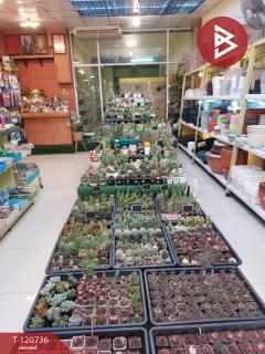 ขายอาคารพาณิชย์พร้อมห้องเช่า 5 ชั้น เนื้อที่ 45.1 ตร.วา แสนสุข ชลบุรี-202509021120061756786806011.jpg