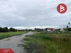 ขายที่ดินพร้อมสิ่งปลูกสร้าง เนื้อที่ 4 ไร่ 2 งาน 23.7 ตร.วา ไทรน้อย นนทบุรี-202509021219331756790373108.jpg