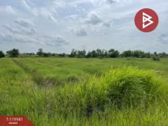 ขายที่ดิน เนื้อที่ 4 ไร่ 56 ตร.วา องครักษ์ นครนายก