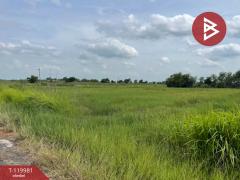 ขายที่ดิน เนื้อที่ 4 ไร่ 56 ตร.วา องครักษ์ นครนายก-202509021230191756791019169.jpg