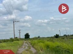 ขายที่ดิน เนื้อที่ 4 ไร่ 56 ตร.วา องครักษ์ นครนายก-202509021230201756791020243.jpg