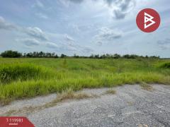 ขายที่ดิน เนื้อที่ 4 ไร่ 56 ตร.วา องครักษ์ นครนายก-202509021230211756791021192.jpg