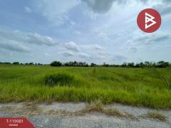 ขายที่ดิน เนื้อที่ 4 ไร่ 56 ตร.วา องครักษ์ นครนายก-202509021230211756791021728.jpg