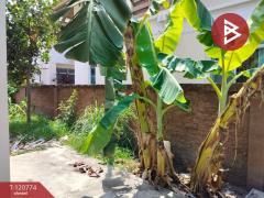 ขายบ้านเดี่ยว หมู่บ้านเอโทล ไวกีกิ ชอร์ พระราม9-กรุงเทพกรีฑา (Atoll Waikiki Shore) กรุงเทพมหานคร-202509021339561756795196873.jpg