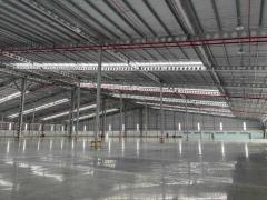 F140 ให้เช่าโรงงาน โกดัง คลังสินค้า ฟรีโซน Freezone #ผังสีม่วง ขนาด 13,220 ตรม.-202509021354491756796089727.jpg