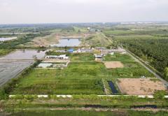 ขายที่ดิน คลอง 9 หนองเสือ ปทุมธานี เนื้อที่ 2 ไร่ มีหลายแปลง-202509021413401756797220635.jpg