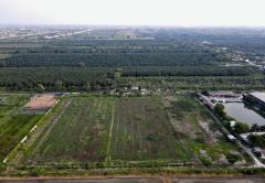 ขายที่ดิน คลอง 9 หนองเสือ ปทุมธานี เนื้อที่ 2 ไร่ มีหลายแปลง-202509021413411756797221591.jpg