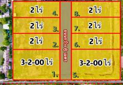 ขายที่ดิน คลอง 9 หนองเสือ ปทุมธานี เนื้อที่ 2 ไร่ มีหลายแปลง-202509021413421756797222071.jpg