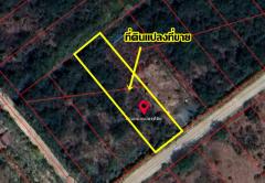 ขายที่ดินเปล่า ในโครงการเวลเนสซิตี้ บางไทร พระนครศรีอยุธยา-202509021437241756798644461.jpg