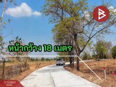 ขายที่ดิน เนื้อที่ 1 ไร่ 40.7 ตร.วา ด่านขุนทด นครราชสีมา-202509021456541756799814537.jpg