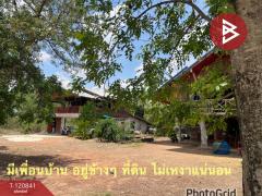 ขายที่ดิน เนื้อที่ 1 ไร่ 40.7 ตร.วา ด่านขุนทด นครราชสีมา-202509021456551756799815082.jpg