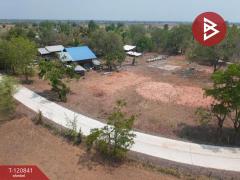 ขายที่ดิน เนื้อที่ 1 ไร่ 40.7 ตร.วา ด่านขุนทด นครราชสีมา-202509021456561756799816281.jpg