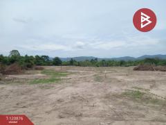 ขายที่ดินเปล่า เนื้อที่ 125 ตารางวา ต.ท่าไม้รวก อ.ท่ายาง เพชรบุรี ใกล้เขาลูกช้าง-202509021526291756801589196.jpg