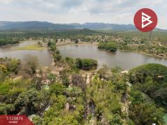 ขายที่ดินเปล่า เนื้อที่ 125 ตารางวา ต.ท่าไม้รวก อ.ท่ายาง เพชรบุรี ใกล้เขาลูกช้าง-202509021526301756801590777.jpg