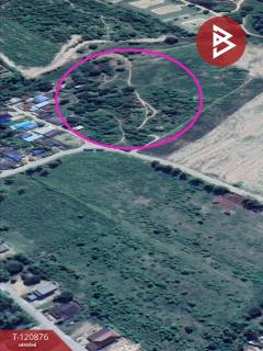 ขายที่ดินเปล่า เนื้อที่ 125 ตารางวา ต.ท่าไม้รวก อ.ท่ายาง เพชรบุรี ใกล้เขาลูกช้าง-202509021526321756801592432.jpg