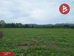 ขายที่ดิน เนื้อที่ 1 งาน 4 ตร.วา ท่ายาง เพชรบุรี