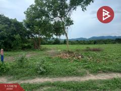 ขายที่ดิน เนื้อที่ 1 งาน 4 ตร.วา ท่ายาง เพชรบุรี-202509021552291756803149314.jpg