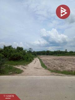 ขายที่ดิน เนื้อที่ 1 งาน 4 ตร.วา ท่ายาง เพชรบุรี-202509021552301756803150380.jpg