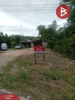 ขายที่ดิน-เนื้อที่-1-ไร่-นิคมพัฒนา-ระ