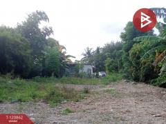 ขายที่ดิน เนื้อที่ 1 ไร่ นิคมพัฒนา ระยอง-202509021740051756809605060.jpg