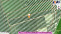 ที่ดินใกล้แหล่งชุมชน ผังเมืองสีเขียวลาย-202509021920091756815609362.jpg