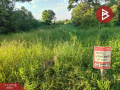 ขายที่ดิน เนื้อที่ 114 ตารางวา วังตะเคียน ฉะเชิงเทรา ทำเลดีติดถนน