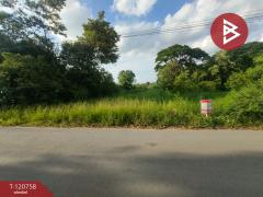 ขายที่ดิน เนื้อที่ 114 ตารางวา วังตะเคียน ฉะเชิงเทรา ทำเลดีติดถนน-202509022017301756819050001.jpg