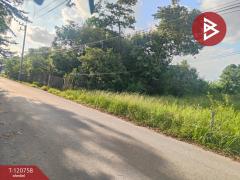 ขายที่ดิน เนื้อที่ 114 ตารางวา วังตะเคียน ฉะเชิงเทรา ทำเลดีติดถนน-202509022017301756819050539.jpg