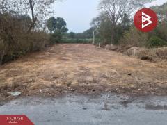 ขายที่ดิน เนื้อที่ 114 ตารางวา วังตะเคียน ฉะเชิงเทรา ทำเลดีติดถนน-202509022017311756819051071.jpg