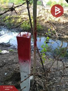 ขายที่ดิน เนื้อที่ 114 ตารางวา วังตะเคียน ฉะเชิงเทรา ทำเลดีติดถนน-202509022017321756819052639.jpg