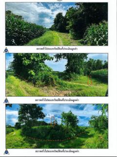 ขายที่ดิน แปลงใหญ่สวย ติดถนนทางหลวงชนบท เหมาะทำโรงแรม รีสอร์ต วิวภูเขา ดอยฮาง อ.เมืองเชียงราย 150 ไร่