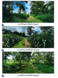 ขายที่ดิน แปลงใหญ่สวย ติดถนนทางหลวงชนบท เหมาะทำโรงแรม รีสอร์ต วิวภูเขา ดอยฮาง อ.เมืองเชียงราย 150 ไร่-202509022035381756820138266.jpg