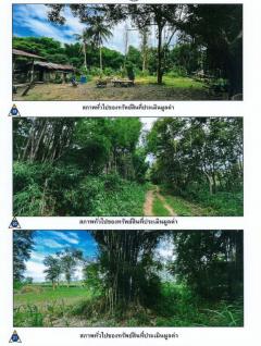 ขายที่ดิน แปลงใหญ่สวย ติดถนนทางหลวงชนบท เหมาะทำโรงแรม รีสอร์ต วิวภูเขา ดอยฮาง อ.เมืองเชียงราย 150 ไร่-202509022035381756820138847.jpg