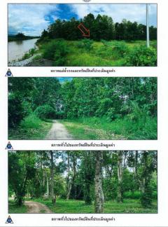 ขายที่ดิน แปลงใหญ่สวย ติดถนนทางหลวงชนบท เหมาะทำโรงแรม รีสอร์ต วิวภูเขา ดอยฮาง อ.เมืองเชียงราย 150 ไร่-202509022035391756820139395.jpg