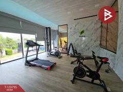 ขายบ้านแฝด หมู่บ้านเดอะแพลนท์ หนองมน-ชลบุรี (The Plant Nongmon-Chonburi) ชลบุรี-202509022318261756829906698.jpg