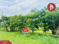 ขายที่ดิน-เนื้อที่-1-ไร่-2-งาน-ต.คลองกิ