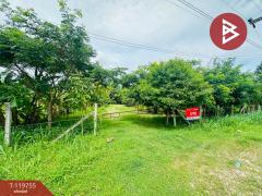 ขายที่ดิน เนื้อที่ 1 ไร่ 2 งาน ต.คลองกิ่ว บ้านบึง ชลบุรี วิวธรรมชาติ-202509030931431756866703929.jpg