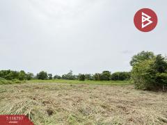 ขายที่ดิน-เนื้อที่-3-ไร่-50-ตร.วา-เกาะขว