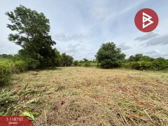 ขายที่ดิน เนื้อที่ 3 ไร่ 50 ตร.วา เกาะขวาง จันทบุรี-202509031115041756872904081.jpg