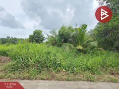 ขายที่ดิน เนื้อที่ 3 ไร่ 50 ตร.วา เกาะขวาง จันทบุรี-202509031115041756872904631.jpg