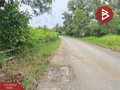 ขายที่ดิน เนื้อที่ 3 ไร่ 50 ตร.วา เกาะขวาง จันทบุรี-202509031115051756872905616.jpg