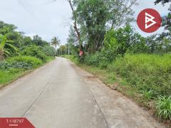 ขายที่ดิน เนื้อที่ 3 ไร่ 50 ตร.วา เกาะขวาง จันทบุรี-202509031115061756872906203.jpg