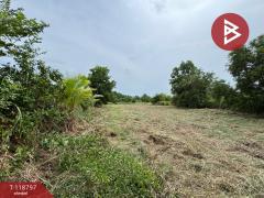 ขายที่ดิน เนื้อที่ 3 ไร่ 50 ตร.วา เกาะขวาง จันทบุรี-202509031115071756872907847.jpg