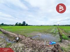 ขายที่ดินทำนา เนื้อที่ 5 ไร่ 3 งาน 92 ตารางวา หนองโอ่ง อู่ทอง สุพรรณบุรี-202509031223531756877033984.jpg