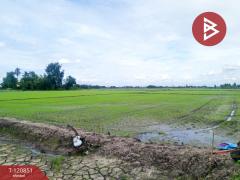 ขายที่ดินทำนา เนื้อที่ 5 ไร่ 3 งาน 92 ตารางวา หนองโอ่ง อู่ทอง สุพรรณบุรี-202509031223561756877036665.jpg